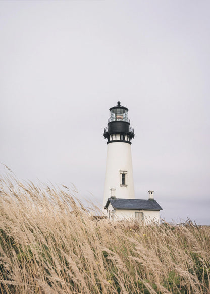 A framed photograph of a white lighthouse with a black top, set against a muted, overcast sky. The foreground is filled with tall, wild beige grass blowing in the wind, partially obscuring the base of the lighthouse. Decor