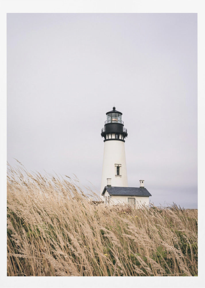 A framed photograph of a white lighthouse with a black top, set against a muted, overcast sky. The foreground is filled with tall, wild beige grass blowing in the wind, partially obscuring the base of the lighthouse. Decor