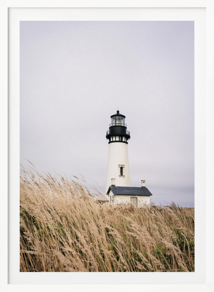 A framed photograph of a white lighthouse with a black top, set against a muted, overcast sky. The foreground is filled with tall, wild beige grass blowing in the wind, partially obscuring the base of the lighthouse. Decor