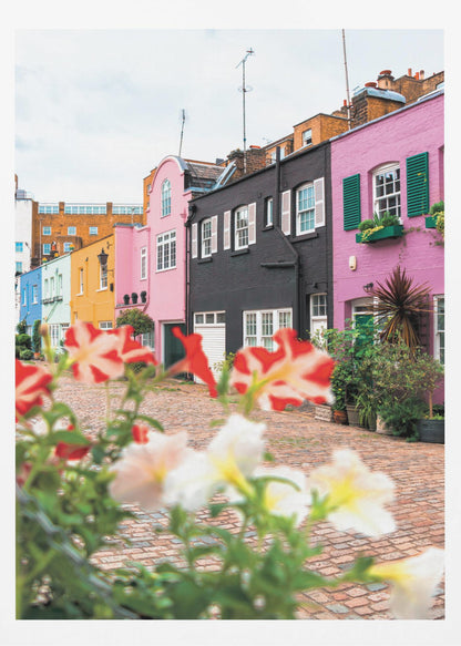 A low-angle view of a charming, narrow cobblestone street lined with colorful row houses in shades of pink, black, yellow, and blue, with blurred red and white petunias in the foreground. Wall Art