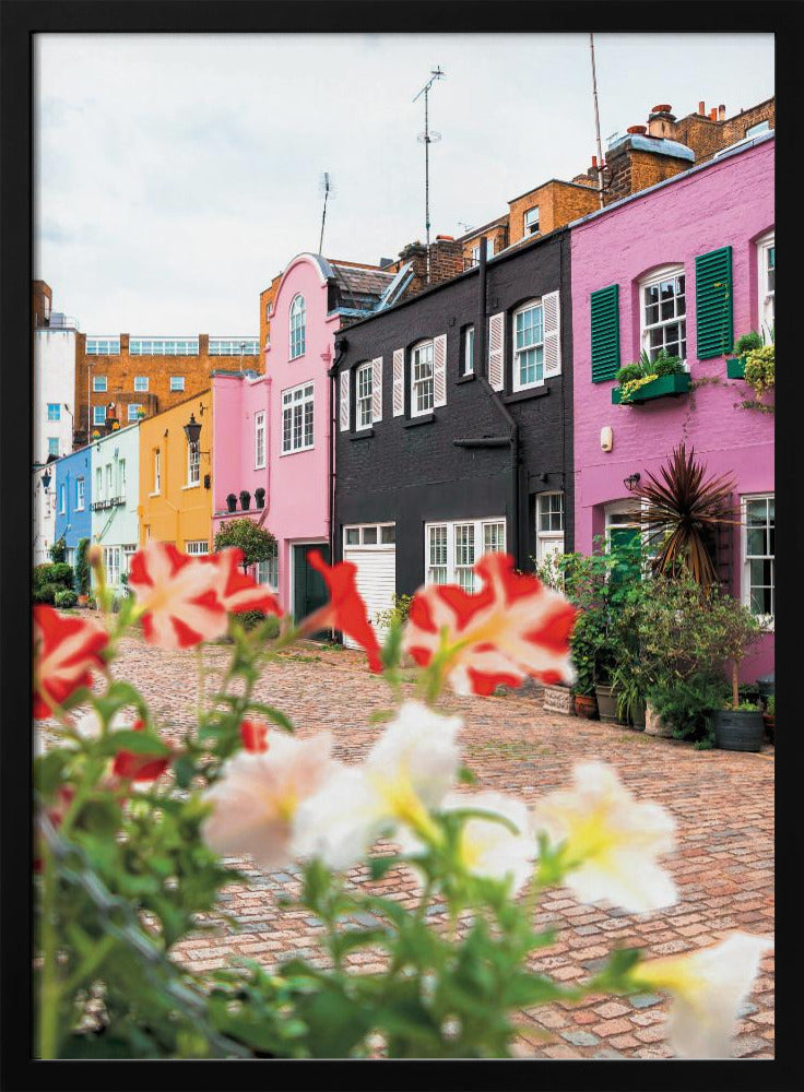 A low-angle view of a charming, narrow cobblestone street lined with colorful row houses in shades of pink, black, yellow, and blue, with blurred red and white petunias in the foreground. Wall Art