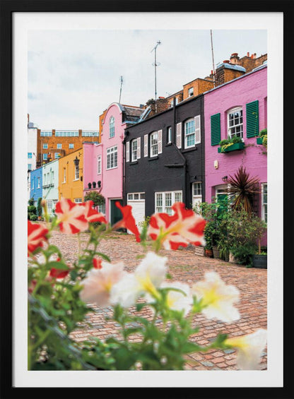 A low-angle view of a charming, narrow cobblestone street lined with colorful row houses in shades of pink, black, yellow, and blue, with blurred red and white petunias in the foreground. Wall Art