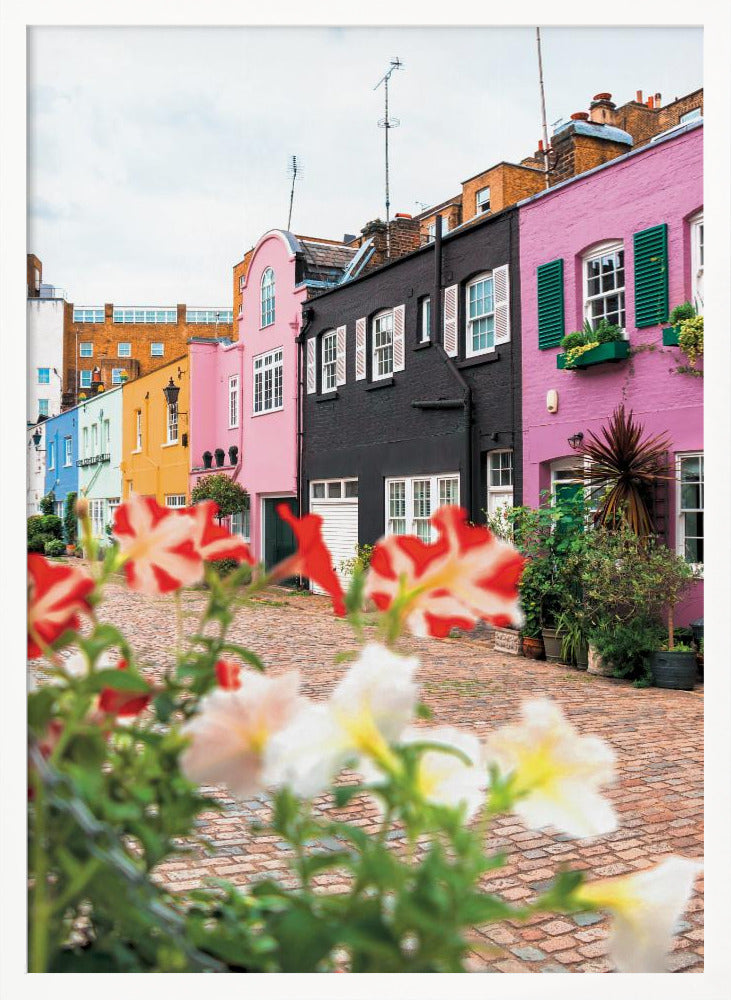 A low-angle view of a charming, narrow cobblestone street lined with colorful row houses in shades of pink, black, yellow, and blue, with blurred red and white petunias in the foreground. Wall Art