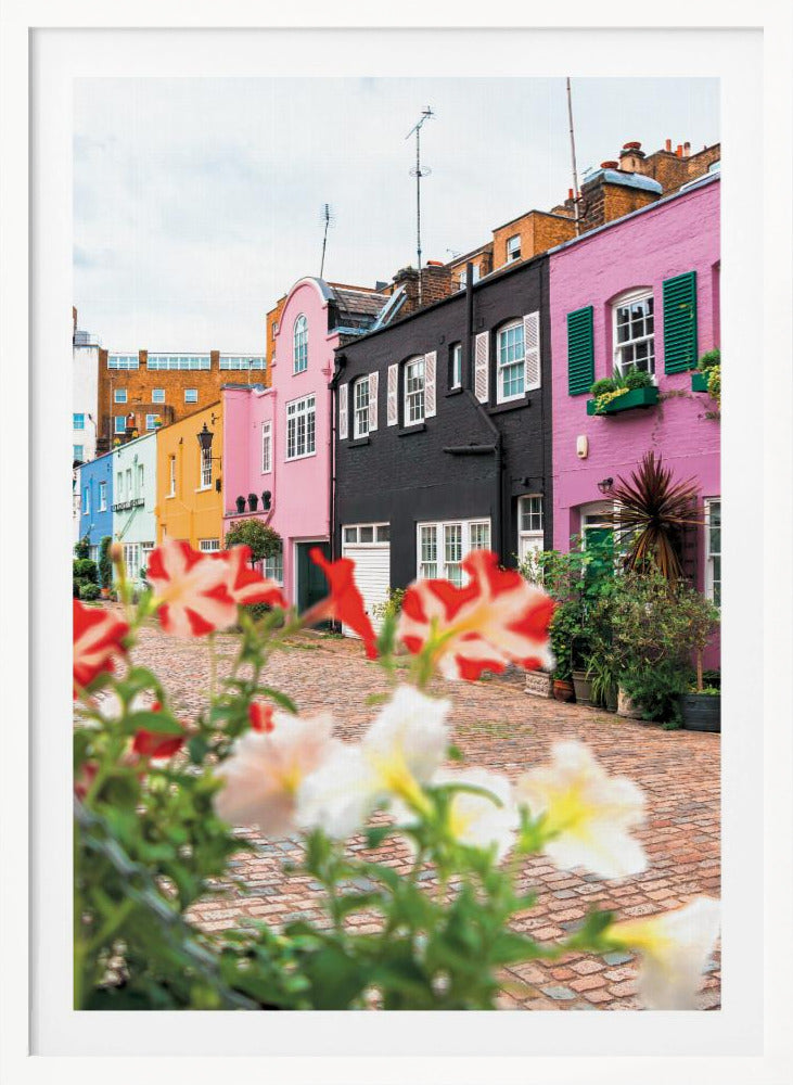 A low-angle view of a charming, narrow cobblestone street lined with colorful row houses in shades of pink, black, yellow, and blue, with blurred red and white petunias in the foreground. Wall Art