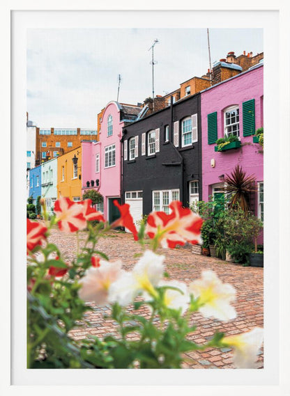A low-angle view of a charming, narrow cobblestone street lined with colorful row houses in shades of pink, black, yellow, and blue, with blurred red and white petunias in the foreground. Wall Art