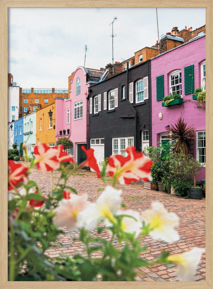 A low-angle view of a charming, narrow cobblestone street lined with colorful row houses in shades of pink, black, yellow, and blue, with blurred red and white petunias in the foreground. Wall Art