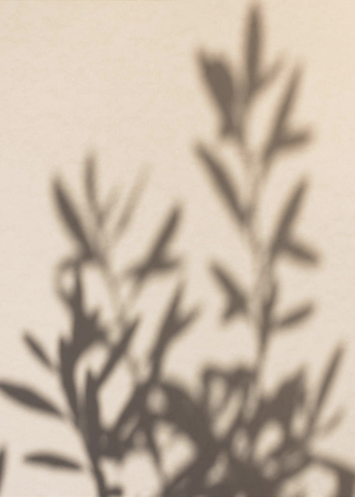 A framed photograph featuring the soft, out-of-focus shadow of a leafy plant projected onto a warm, beige-colored wall. The image has a minimalist and tranquil aesthetic, focusing on the interplay of light and shadow. Wall Art
