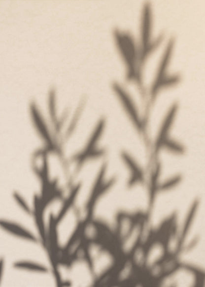 A framed photograph featuring the soft, out-of-focus shadow of a leafy plant projected onto a warm, beige-colored wall. The image has a minimalist and tranquil aesthetic, focusing on the interplay of light and shadow. Wall Art