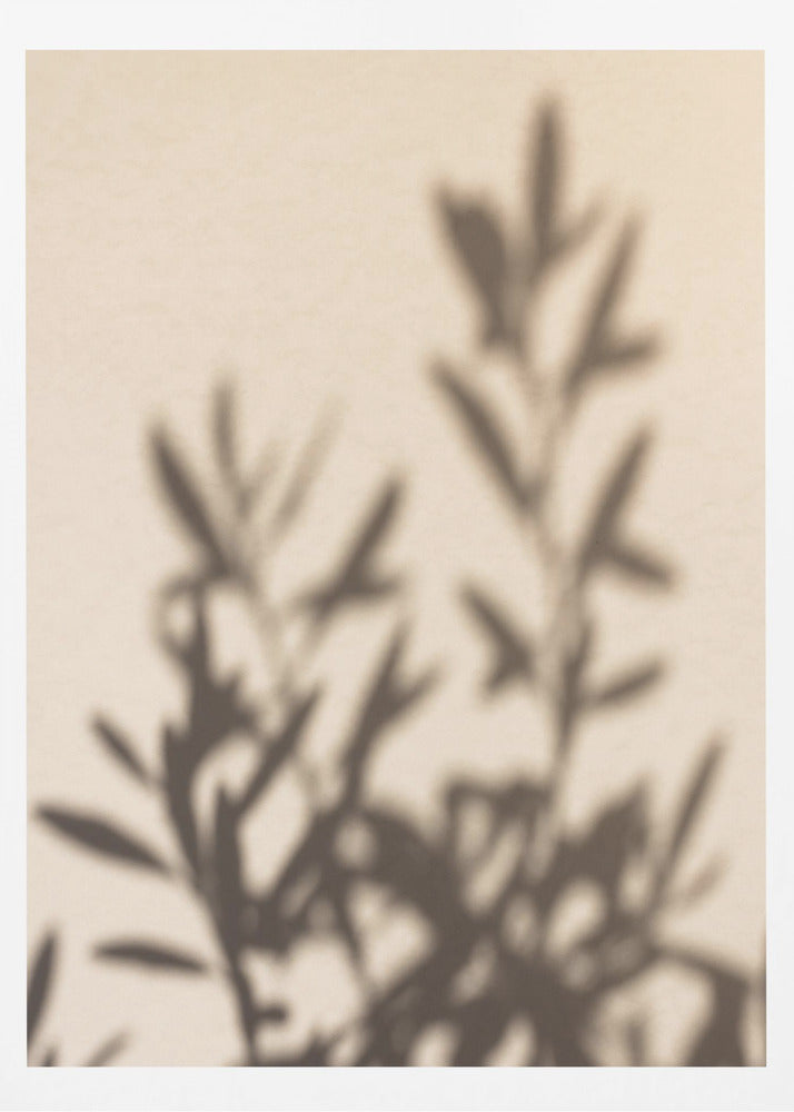 A framed photograph featuring the soft, out-of-focus shadow of a leafy plant projected onto a warm, beige-colored wall. The image has a minimalist and tranquil aesthetic, focusing on the interplay of light and shadow. Wall Art