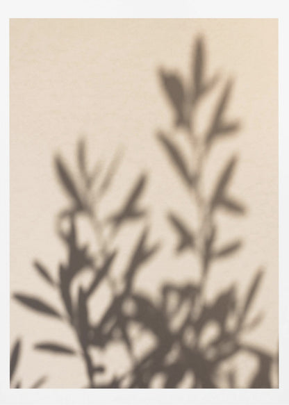 A framed photograph featuring the soft, out-of-focus shadow of a leafy plant projected onto a warm, beige-colored wall. The image has a minimalist and tranquil aesthetic, focusing on the interplay of light and shadow. Wall Art