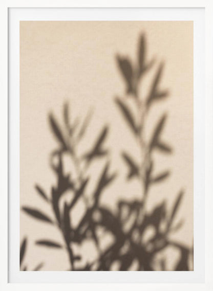 A framed photograph featuring the soft, out-of-focus shadow of a leafy plant projected onto a warm, beige-colored wall. The image has a minimalist and tranquil aesthetic, focusing on the interplay of light and shadow. Wall Art