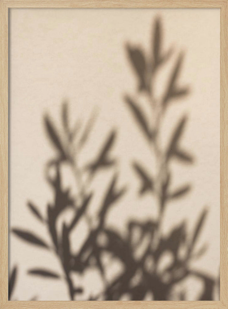 A framed photograph featuring the soft, out-of-focus shadow of a leafy plant projected onto a warm, beige-colored wall. The image has a minimalist and tranquil aesthetic, focusing on the interplay of light and shadow. Wall Art