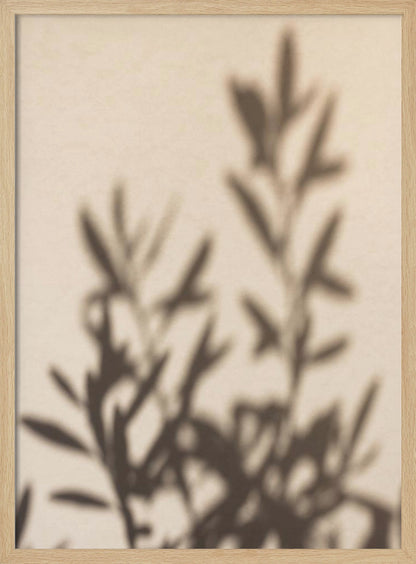 A framed photograph featuring the soft, out-of-focus shadow of a leafy plant projected onto a warm, beige-colored wall. The image has a minimalist and tranquil aesthetic, focusing on the interplay of light and shadow. Wall Art