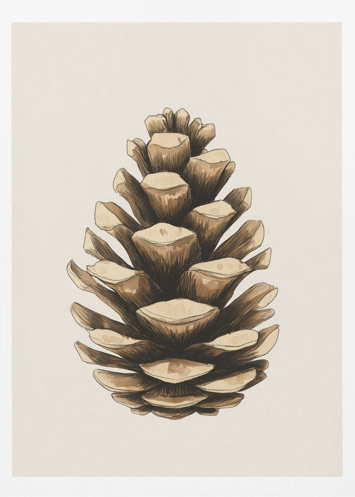 A detailed watercolor and ink illustration of a single brown pinecone, centered against a light cream background and displayed in a thin black frame. Artwork
