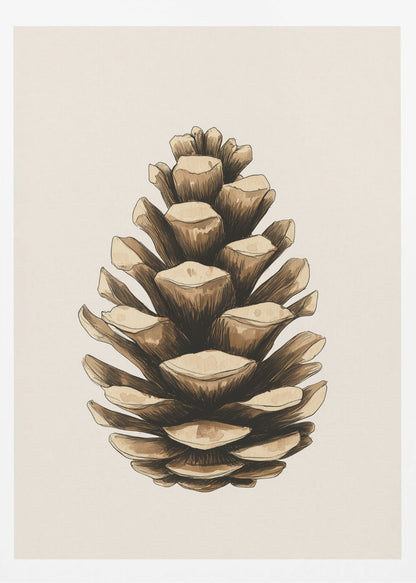 A detailed watercolor and ink illustration of a single brown pinecone, centered against a light cream background and displayed in a thin black frame. Artwork