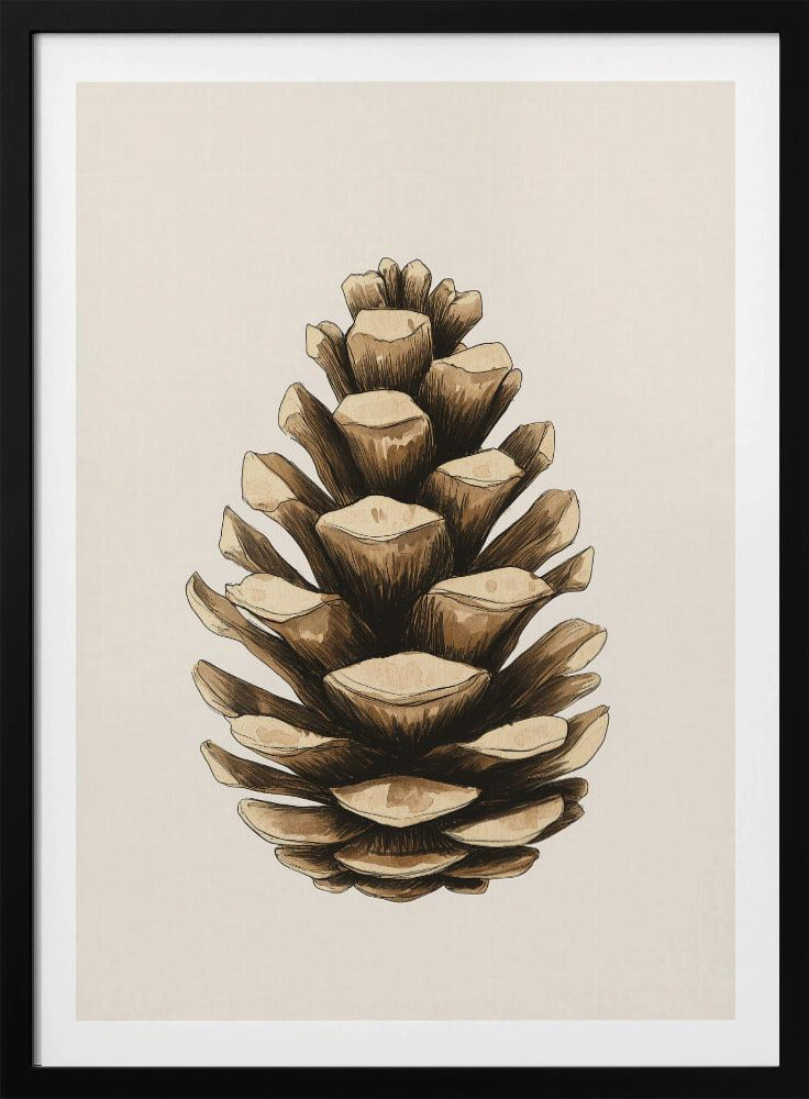 A detailed watercolor and ink illustration of a single brown pinecone, centered against a light cream background and displayed in a thin black frame. Artwork