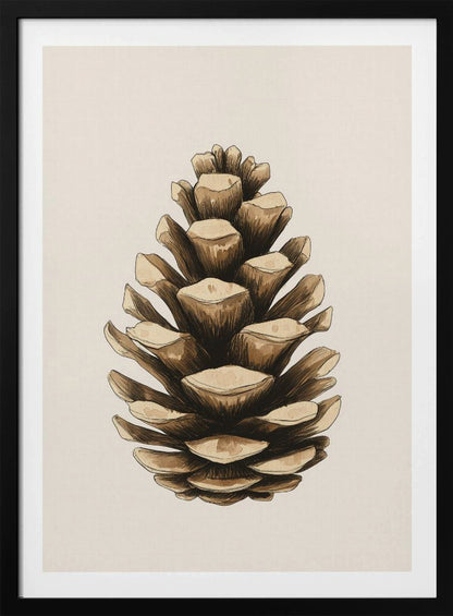 A detailed watercolor and ink illustration of a single brown pinecone, centered against a light cream background and displayed in a thin black frame. Artwork