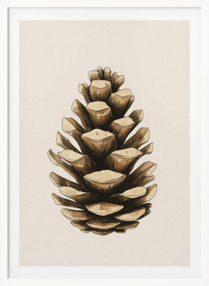 A detailed watercolor and ink illustration of a single brown pinecone, centered against a light cream background and displayed in a thin black frame. Artwork