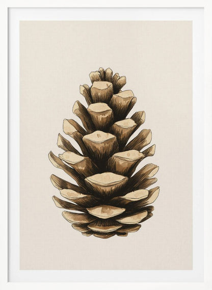 A detailed watercolor and ink illustration of a single brown pinecone, centered against a light cream background and displayed in a thin black frame. Artwork