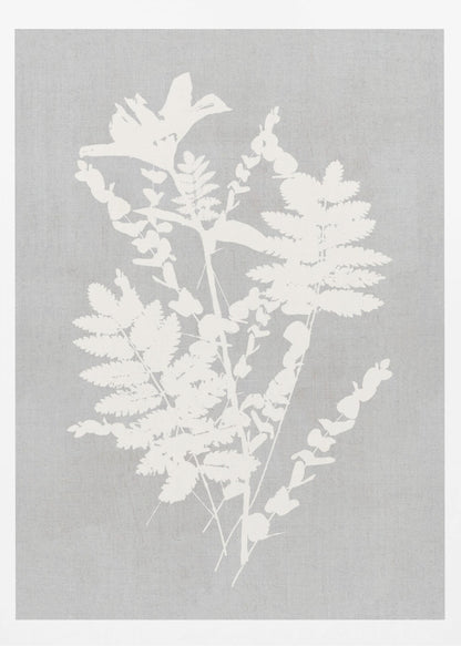 A framed artwork featuring a white silhouette of a botanical arrangement with ferns, flowers, and leaves against a textured light grey background. Decor