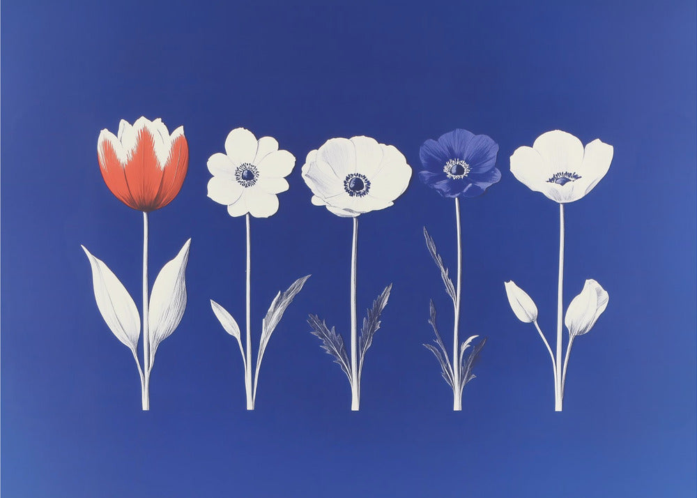 A framed art print showing five flowers in a horizontal line against a vibrant royal blue background. The flowers are illustrated in a graphic style, with one red tulip, one blue anemone, and three white anemones. The stems and leaves are depicted in white and grey tones. The artwork is enclosed in a silver frame. Poster