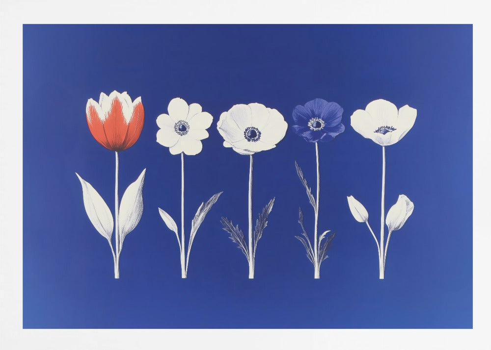 A framed art print showing five flowers in a horizontal line against a vibrant royal blue background. The flowers are illustrated in a graphic style, with one red tulip, one blue anemone, and three white anemones. The stems and leaves are depicted in white and grey tones. The artwork is enclosed in a silver frame. Poster