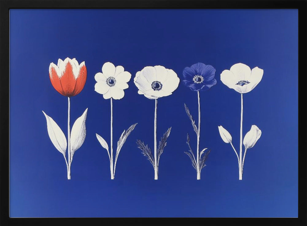 A framed art print showing five flowers in a horizontal line against a vibrant royal blue background. The flowers are illustrated in a graphic style, with one red tulip, one blue anemone, and three white anemones. The stems and leaves are depicted in white and grey tones. The artwork is enclosed in a silver frame. Poster