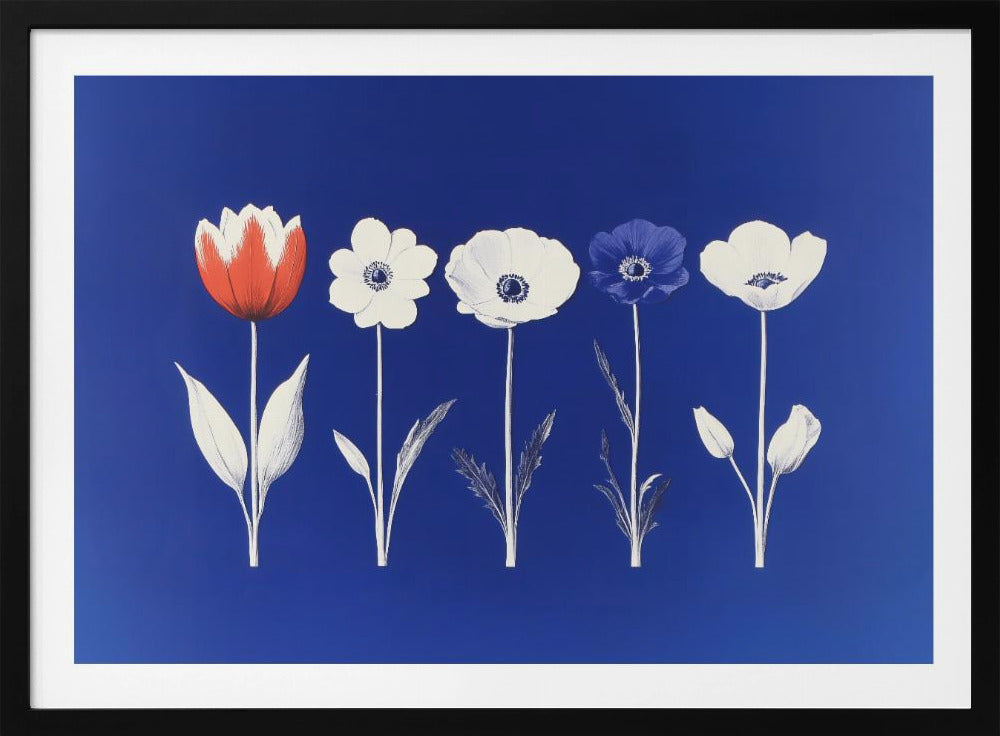 A framed art print showing five flowers in a horizontal line against a vibrant royal blue background. The flowers are illustrated in a graphic style, with one red tulip, one blue anemone, and three white anemones. The stems and leaves are depicted in white and grey tones. The artwork is enclosed in a silver frame. Poster