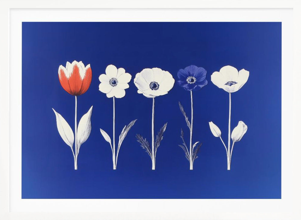 A framed art print showing five flowers in a horizontal line against a vibrant royal blue background. The flowers are illustrated in a graphic style, with one red tulip, one blue anemone, and three white anemones. The stems and leaves are depicted in white and grey tones. The artwork is enclosed in a silver frame. Poster