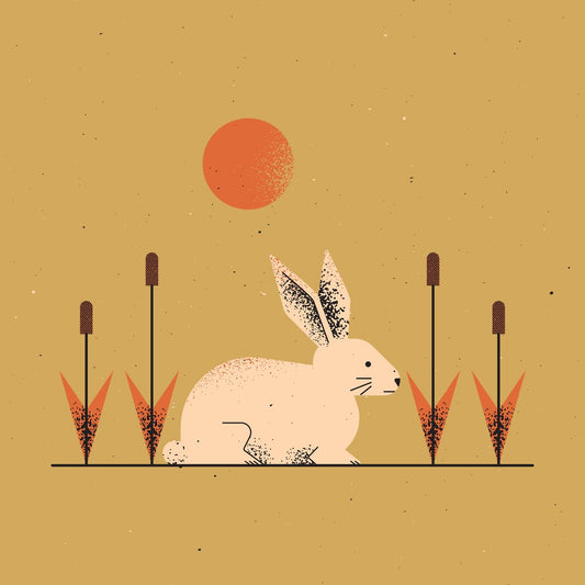 variant-30x30_no-margin