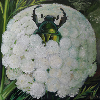 variant-30x30_no-margin