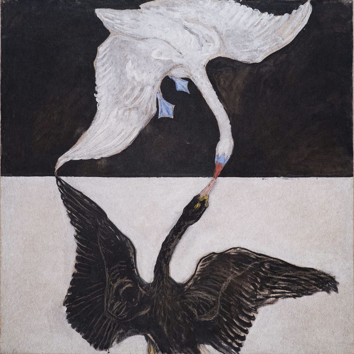 variant-30x30_no-margin