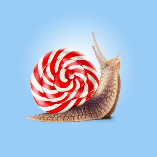 variant-30x30_no-margin