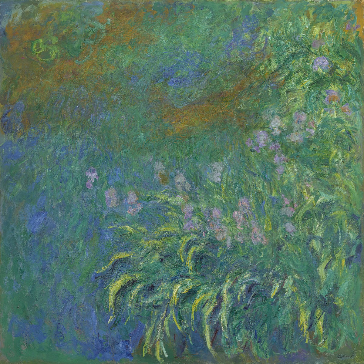 variant-30x30_no-margin