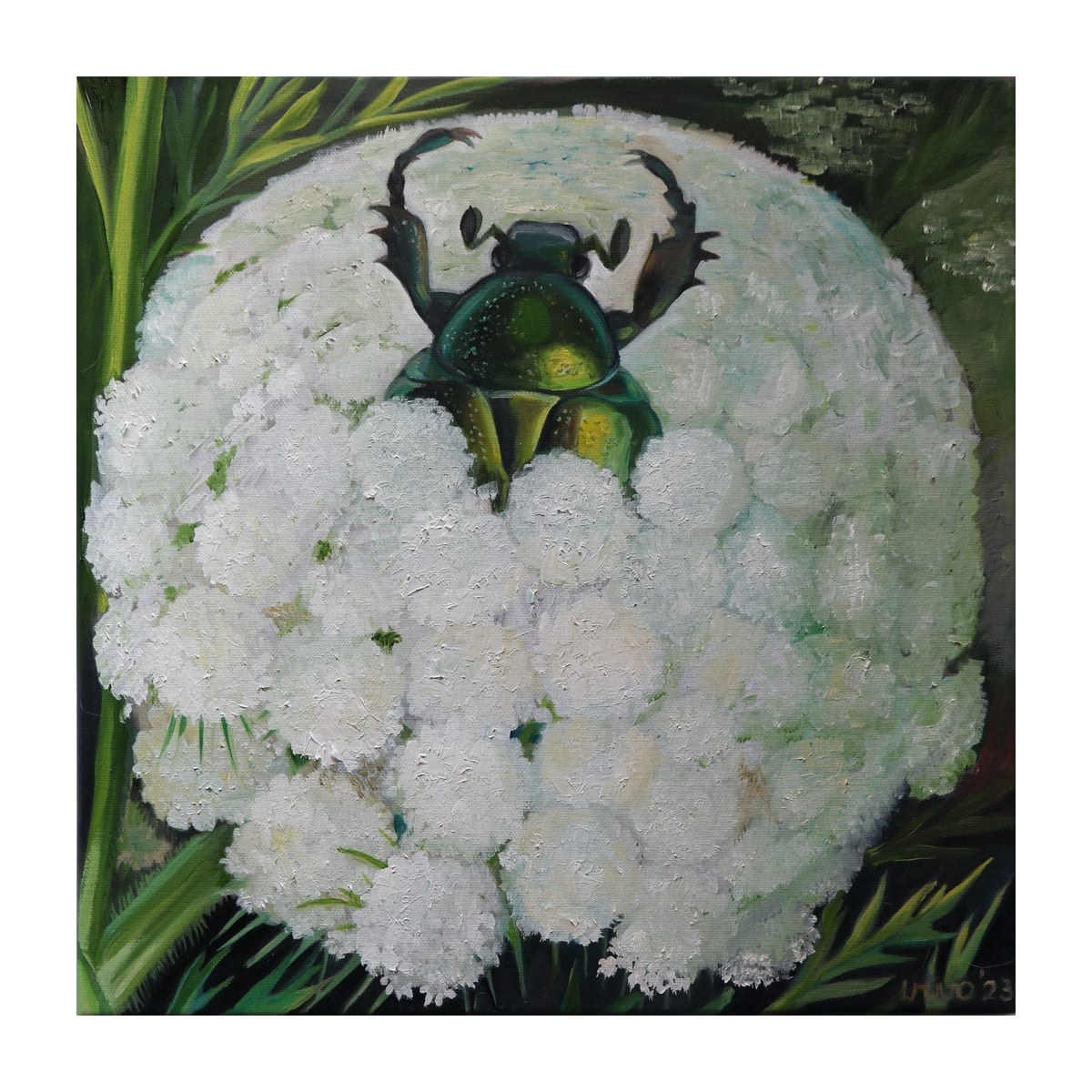 variant-30x30_with-margin