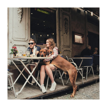 variant-30x30_with-margin