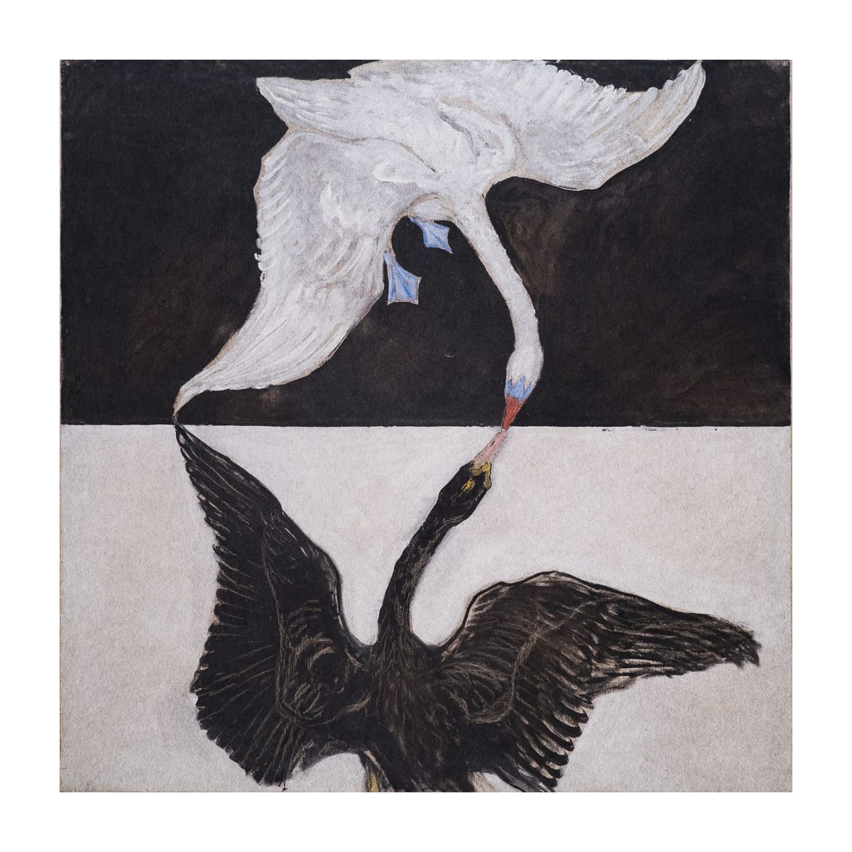 variant-30x30_with-margin