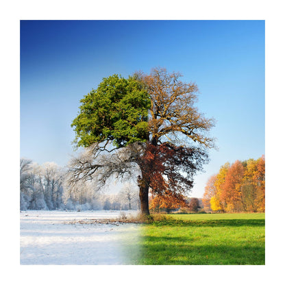 variant-30x30_with-margin