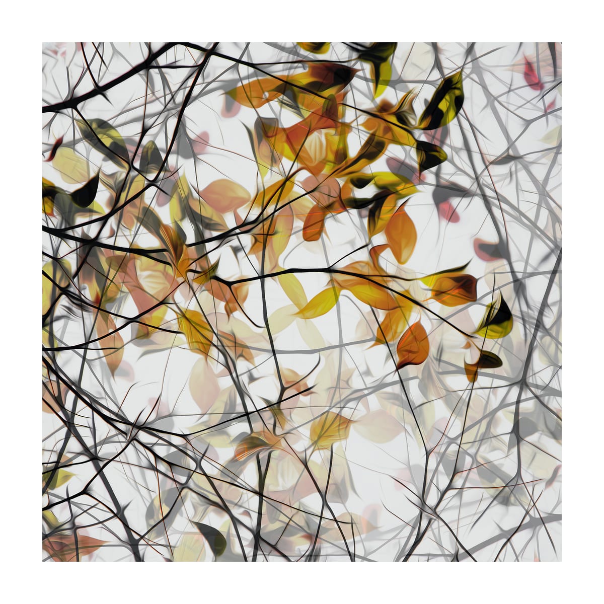 variant-30x30_with-margin