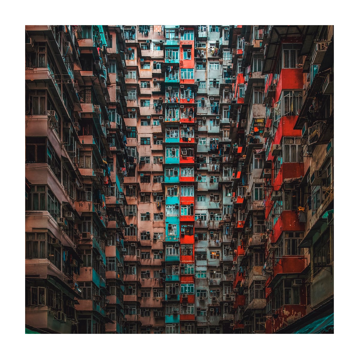 variant-30x30_with-margin