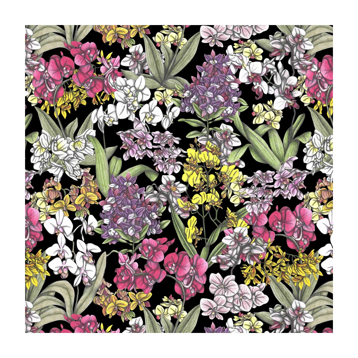 variant-30x30_with-margin