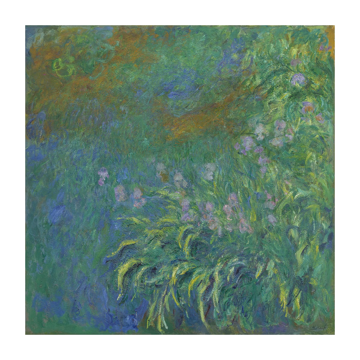 variant-30x30_with-margin
