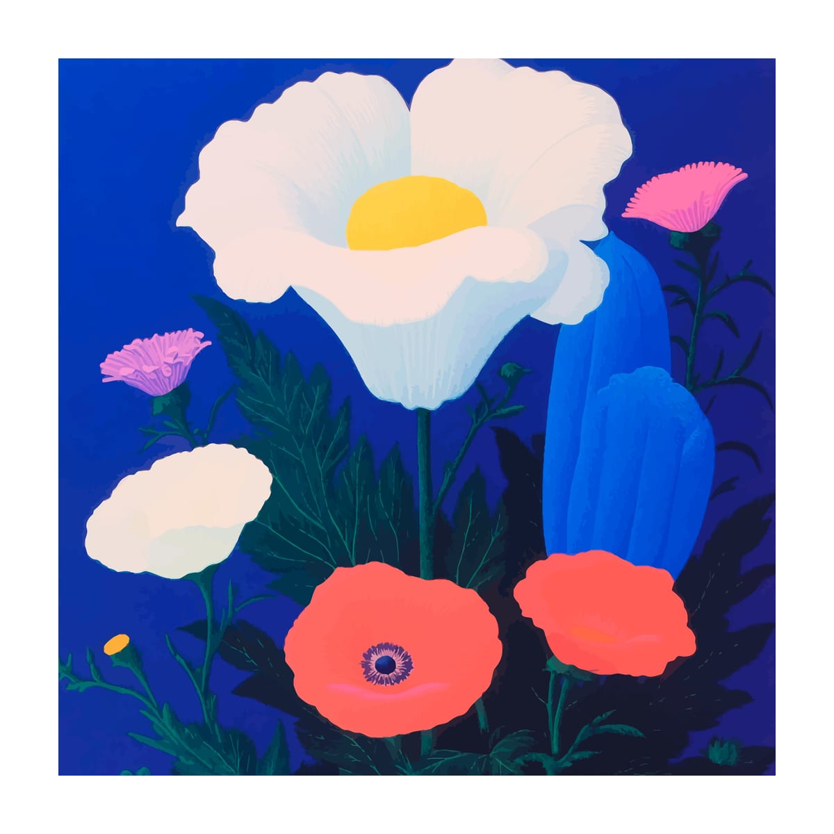 variant-30x30_with-margin