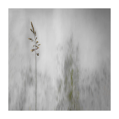 variant-30x30_with-margin