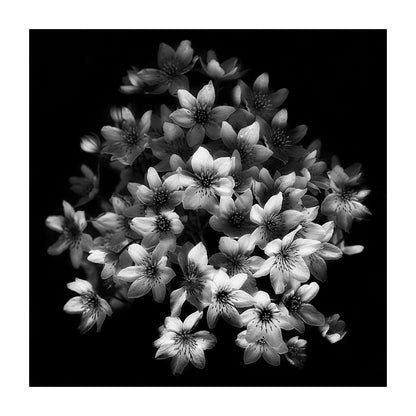 variant-30x30_with-margin