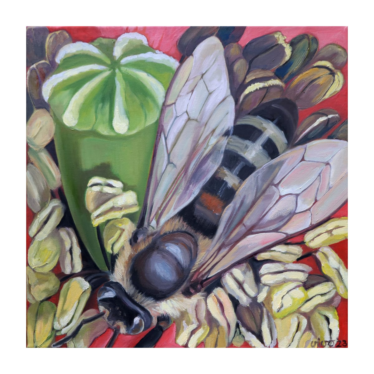 variant-30x30_with-margin