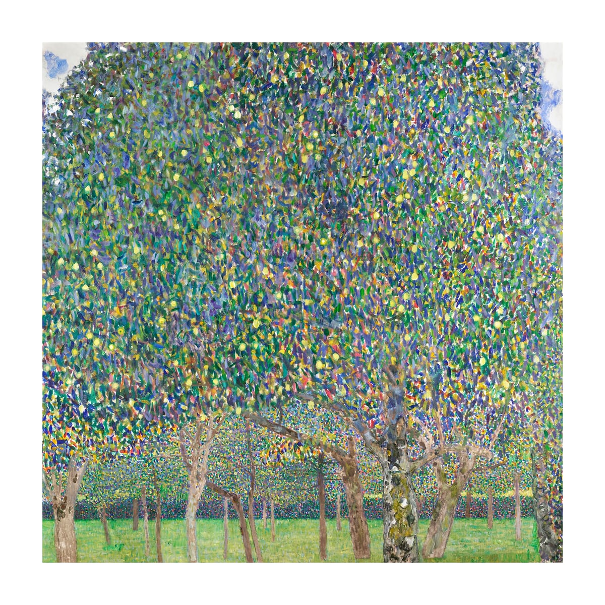 variant-30x30_with-margin