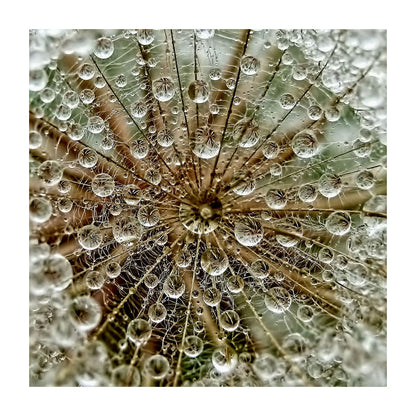 variant-30x30_with-margin
