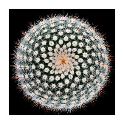 variant-30x30_with-margin
