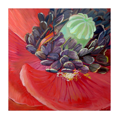 variant-30x30_with-margin